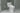 TOTO Washlet A2 Elongated - BNGBath