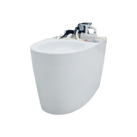 Thumbnail for NEOREST Dual Flush 1.0 or 0.8 GPF Elongated Toilet Bowl for AH and RH, - CT989CUMFG#01 - BNGBath