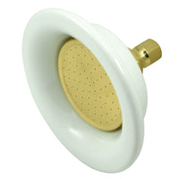 Thumbnail for Kingston Brass P60PB Victorian Ceramic Shower Head, Polished Brass - BNGBath