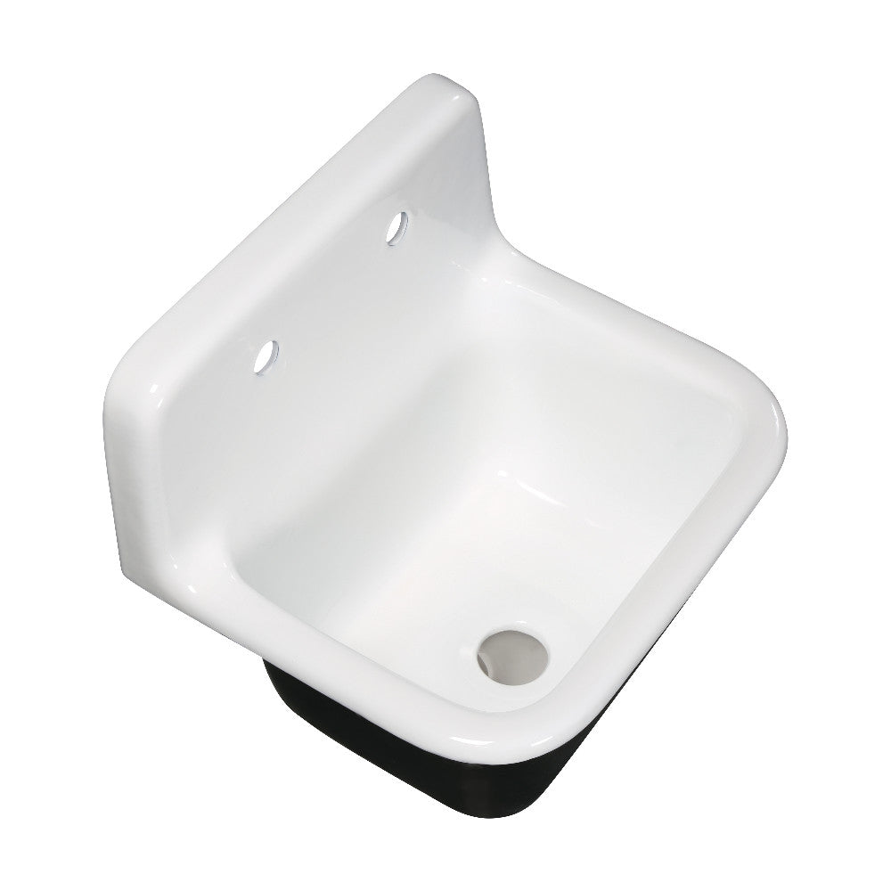 Fauceture Petra Galley Wall Mount Kitchen Sinks - BNGBath
